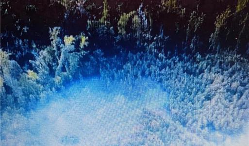 Photo #1 of 672 Paschal, Yanceyville, NC 15.2 acres