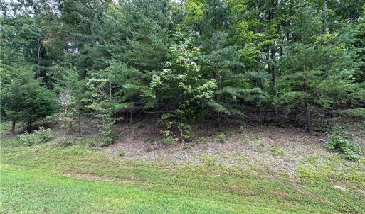 Photo #6 of 635 Rocky Cove, Denton, NC 1.2 acres