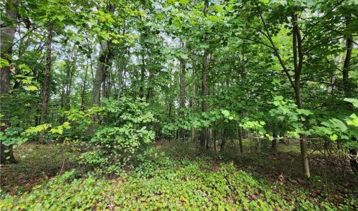 Land is on end of cul-de-sac
