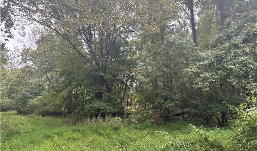 Photo #7 of 1050 Barton, Greensboro, NC 2.8 acres