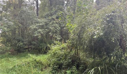 Photo #5 of 1050 Barton, Greensboro, NC 2.8 acres