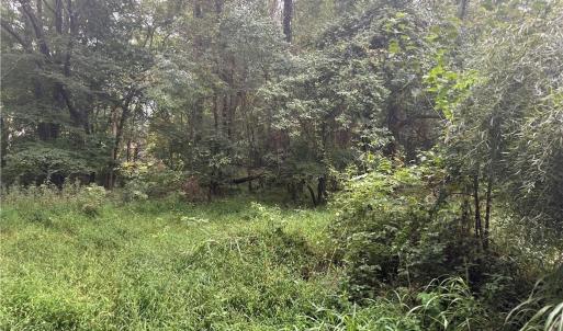 Photo #8 of 1050 Barton, Greensboro, NC 2.8 acres
