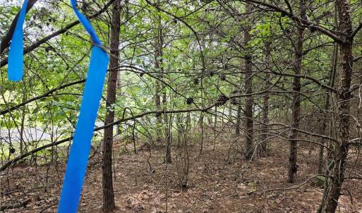 Look for ribbons. Soils evaluation each Track