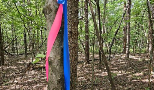 Each Soils Elaluation site marked