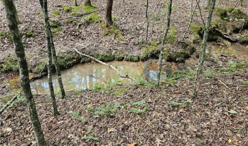 Stream crosses each Tract except Trart 1