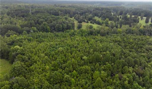 Photo #14 of Grogan, Stoneville, NC 132.8 acres
