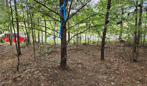 Perc site near road
