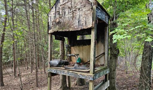 Old Deer Stand