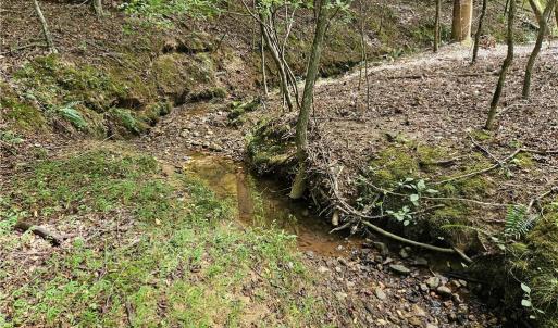 Internal stream