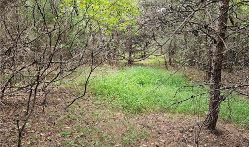 Open area