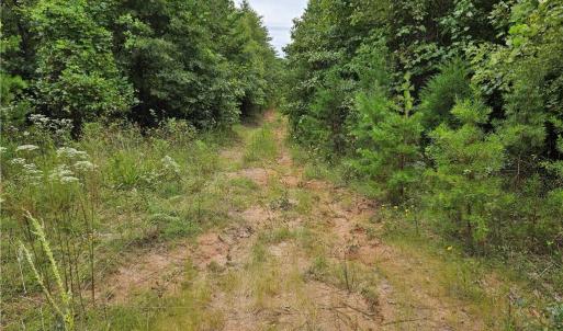 Follow road bed towards back on right red flas is soils area