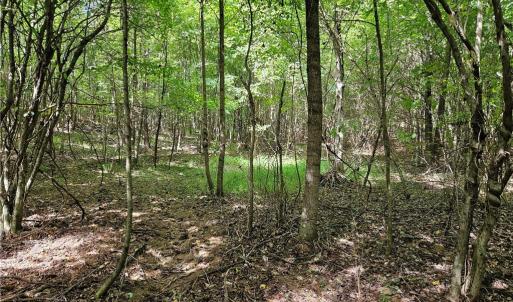 Open Area