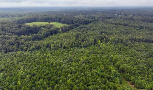 Photo #12 of Grogan, Stoneville, NC 23.4 acres