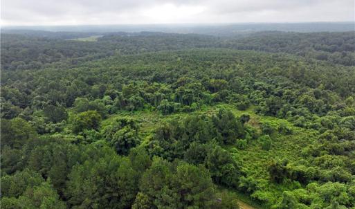 Photo #17 of Grogan, Stoneville, NC 36.4 acres