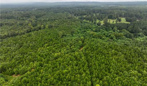 Photo #20 of Grogan, Stoneville, NC 36.4 acres