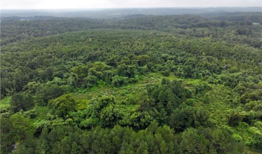 Photo #18 of Grogan, Stoneville, NC 36.4 acres