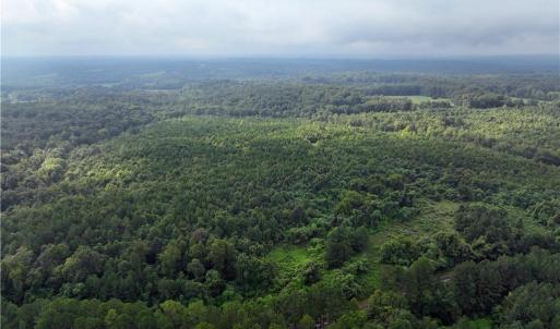Photo #15 of Grogan, Stoneville, NC 36.4 acres