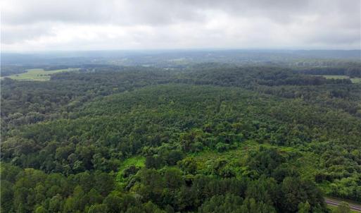 Photo #19 of Grogan, Stoneville, NC 36.4 acres