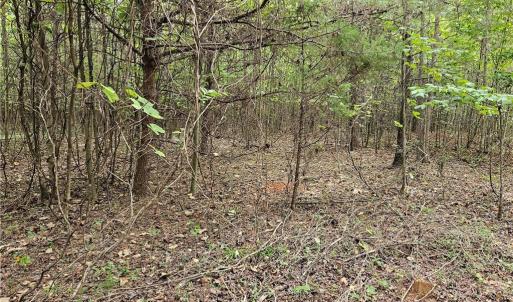 Open Area
