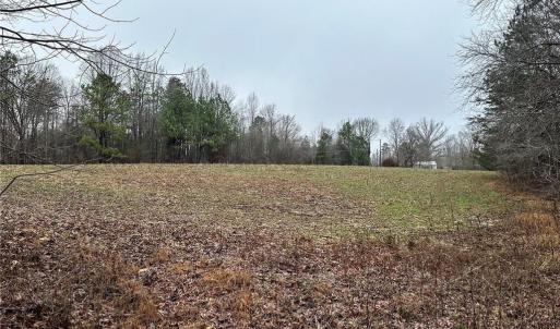 Photo #6 of 6101 Burlington, Gibsonville, NC 45.4 acres