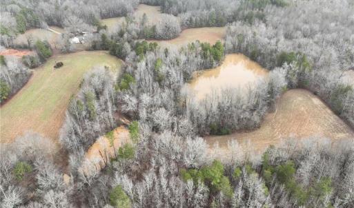 Photo #13 of 6101 Burlington, Gibsonville, NC 45.4 acres