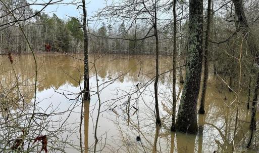 Photo #9 of 6101 Burlington, Gibsonville, NC 45.4 acres