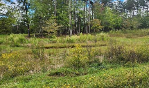 Photo #6 of 2381 Mount Hope Church, Whitsett, NC 2.7 acres