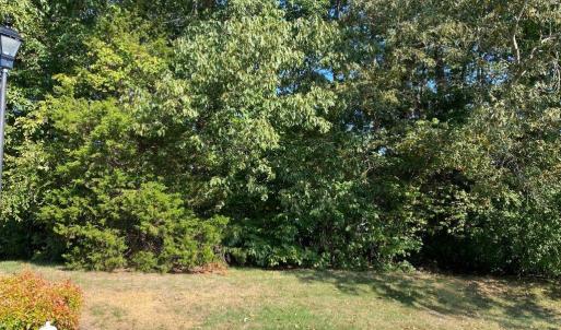 Photo #3 of 6503 Thurlow, Whitsett, NC 0.3 acres