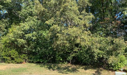 Welcome to your dream homesite nestled within the picturesque Stoney Creek Community! This exceptional vacant lot, situated on a short cul-de-sac, offers the perfect location to create your custom basement home. Embrace the natural beauty of the lush woodlands and enjoy the amenities of this coveted neighborhood, including access to a semi-private golf course and the opportunity for a pool membership. The builder, the home plan, & landscape plans must be approved by the developer & Stoney Creek HOA/ARB.