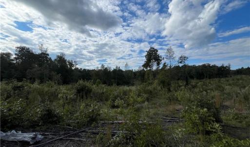 Photo #13 of 11630 US Highway 158, Reidsville, NC 73.6 acres