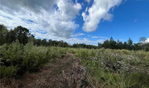 Photo #12 of 11630 US Highway 158, Reidsville, NC 73.6 acres