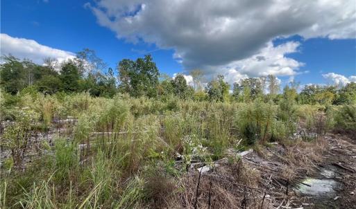 Photo #9 of 11630 US Highway 158, Reidsville, NC 73.6 acres