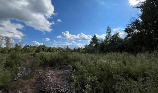 Photo #10 of 11630 US Highway 158, Reidsville, NC 73.6 acres
