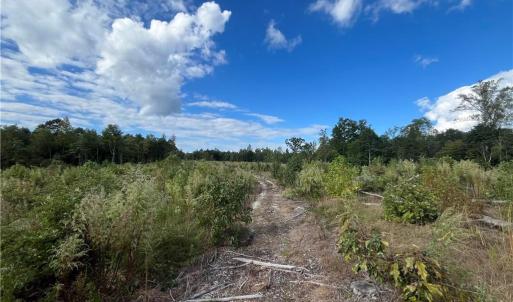 Photo #14 of 11630 US Highway 158, Reidsville, NC 73.6 acres
