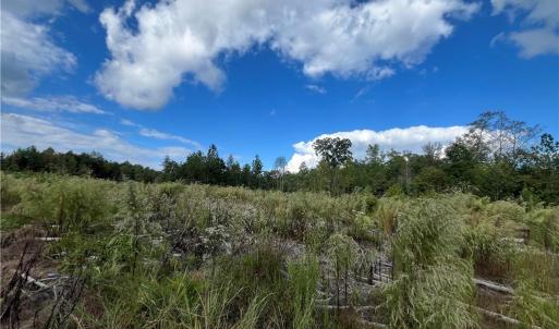 Photo #11 of 11630 US Highway 158, Reidsville, NC 73.6 acres