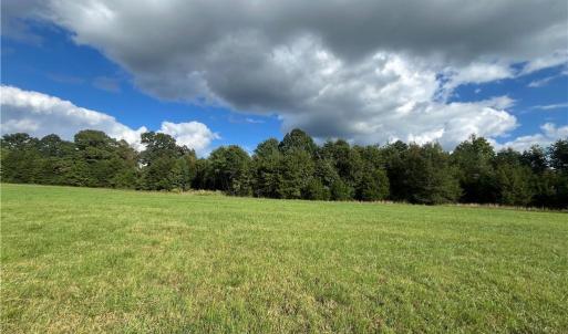 Photo #4 of 11630 US Highway 158, Reidsville, NC 73.6 acres