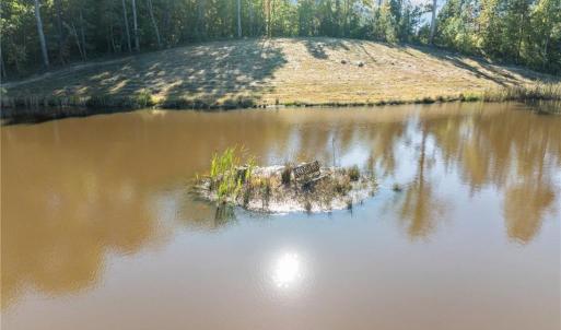 Small Island in pond