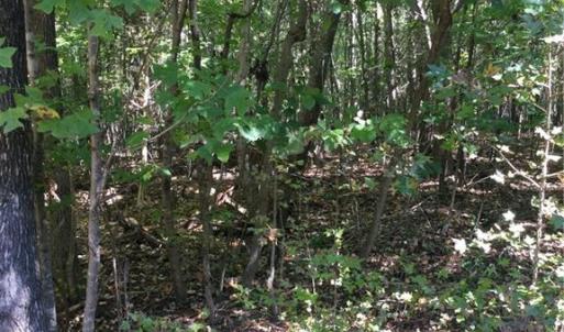 Photo #2 of 00 & 000 Terrell, Mebane, NC 13.8 acres