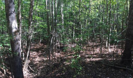 Photo #6 of 00 & 000 Terrell, Mebane, NC 13.8 acres