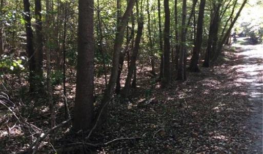 Photo #3 of 00 & 000 Terrell, Mebane, NC 13.8 acres