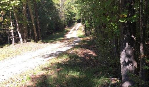 Photo #1 of 00 & 000 Terrell, Mebane, NC 13.8 acres