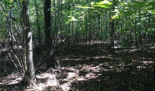 Photo #5 of 00 & 000 Terrell, Mebane, NC 13.8 acres