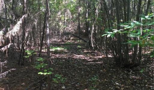 Photo #4 of 00 & 000 Terrell, Mebane, NC 13.8 acres
