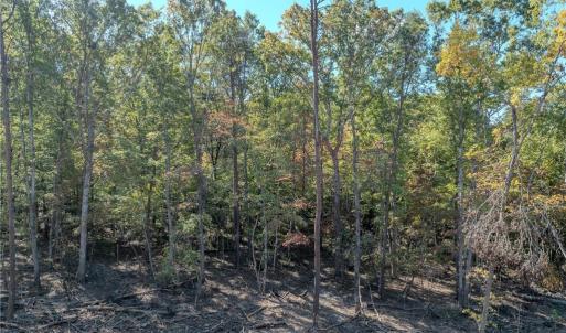 Photo #13 of Olivia Pope, Efland, NC 5.1 acres
