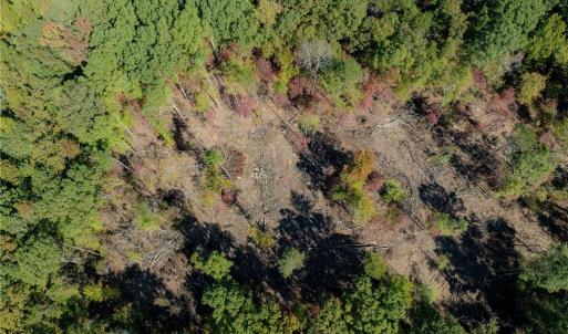 Photo #16 of Olivia Pope, Efland, NC 5.1 acres