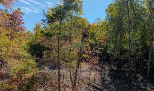 Photo #12 of Olivia Pope, Efland, NC 5.1 acres