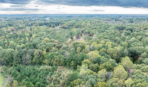 Photo #9 of Olivia Pope, Efland, NC 5.1 acres