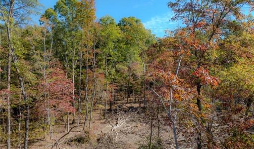Photo #11 of Olivia Pope, Efland, NC 5.1 acres