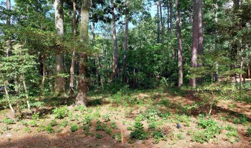 Photo #2 of SOLD property in 135 Parker Street, Jarvisburg, NC 0.2 acres