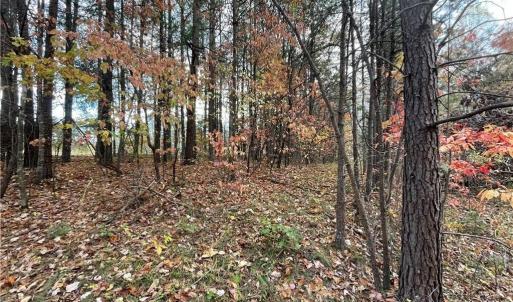 Photo #2 of +/- 17.06 Johnson, King, NC 17.1 acres